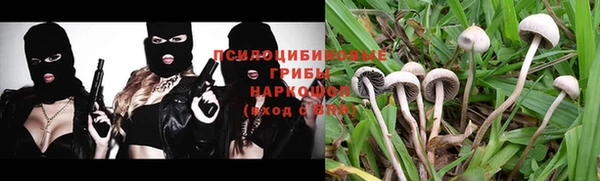 стафф Бронницы