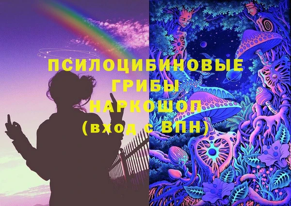 стафф Бронницы