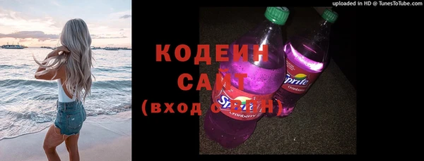 2c-b Бородино