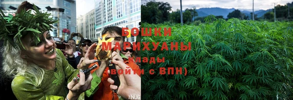 стафф Бронницы
