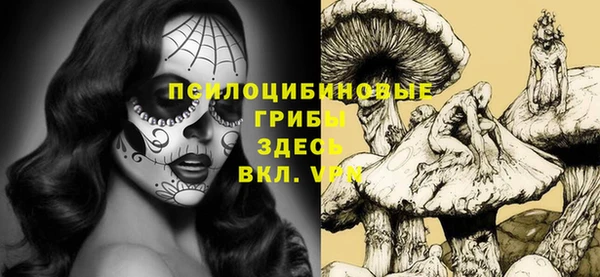 стафф Бронницы
