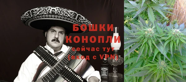 стафф Бронницы